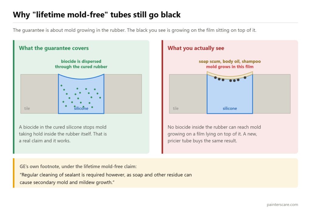 Cross-section showing why mold-free shower caulk still goes black: the biocide sits in the cured silicone while mold grows in the soap film on top of it