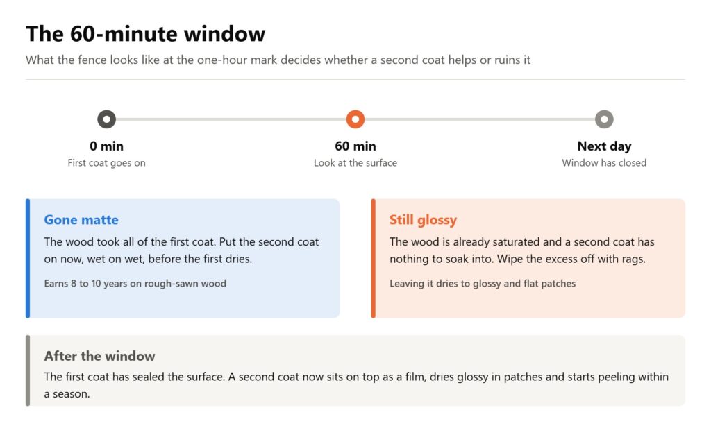 Timeline of the 60-minute window for a second coat of fence stain: recoat if matte, stop and wipe if still glossy.